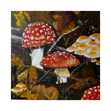 Paddestoelen