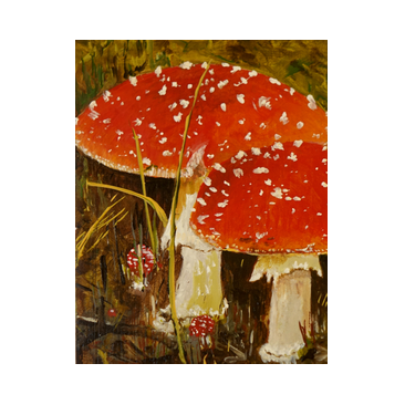 Paddestoelen