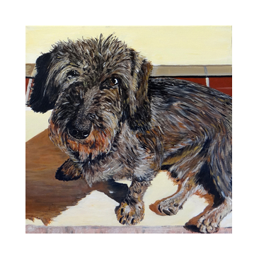honden