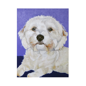 honden