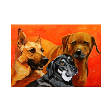 honden