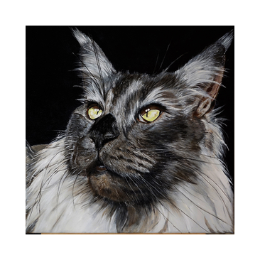 katten