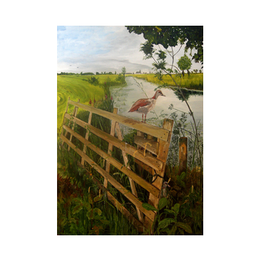 landschap