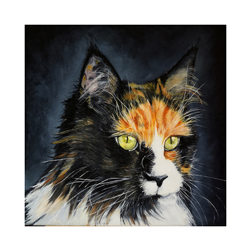 katten
