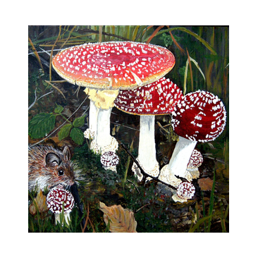 Paddestoelen