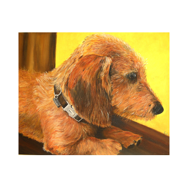 honden