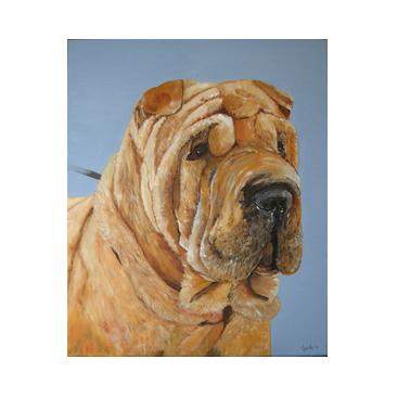 honden