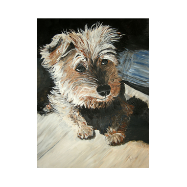 honden