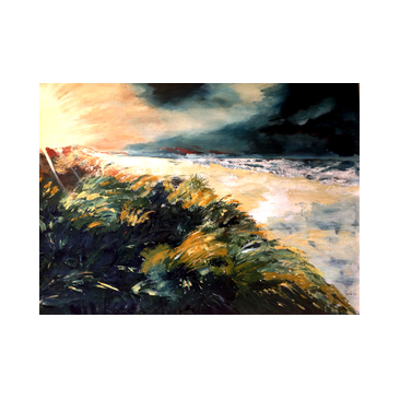 landschap